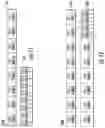 Fig. 14 - Methods, systems and apparatus for scheduling of subframes and hybrid automatic repeat request (HARQ) feedback