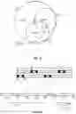 Fig. 11 - Pilot signals