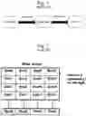 Fig. 02 - Method and apparatus for an ultra low power VLSI implementation of the 128-bit AES algorithm using a novel approach to the shiftrow transformation