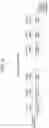 Fig. 05 - Arithmetic apparatus, arithmetic system and arithmetic method
