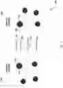 Fig. 02 - Active state blockchain synchronization