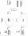 Fig. 15 - MESSAGING SYSTEM APPARATUSES CIRCUITS AND METHODS OF OPERATION THEREOF FOR MANAGING AUTOMATIC DEPENDENT SURVEILLANCE BROADCASTS