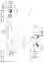 Fig. 02 - Scripted digital media message generation