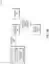 Fig. 07 - Correlating endpoint and network views to identify evasive applications