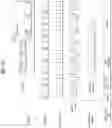 Fig. 11 - Broadcasting signal transmission device, broadcasting signal reception device, broadcasting signal transmission method, and broadcasting signal reception method