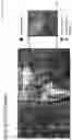 Fig. 11 - Hyperdata Compression: Accelerating Encoding for Improved Communication, Distribution & Delivery of Personalized Content