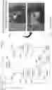 Fig. 20 - Hyperdata Compression: Accelerating Encoding for Improved Communication, Distribution & Delivery of Personalized Content