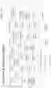 Fig. 30 - Hyperdata Compression: Accelerating Encoding for Improved Communication, Distribution & Delivery of Personalized Content