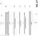 Fig. 19 - Method and apparatus in video coding with flexible coding order