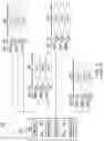 Fig. 03 - Baseband and method for selecting a co-ordination set of neighboring basebands in a centralized radio access network (C-RAN)