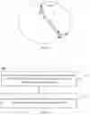 Fig. 02 - Paging method, network device and terminal device