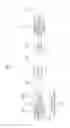 Fig. 02 - Method of error recovery in transmitting and receiving voice service in packet based mobile communication systems
