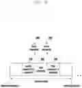 Fig. 06 - Method and an apparatus for determining a local frequency in wireless communication system