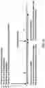 Fig. 17 - Scheduling resource allocation in wireless network
