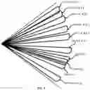 Fig. 07 - Joint optimization of multiple beams for MU MIMO systems