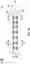 Fig. 06 - Printed circuit board stack structure and method of forming the same