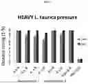 Fig. 03 - Powdery mildew resistant pepper plants