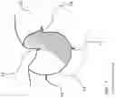 Fig. 08 - Multi-functional reconfigurable pet enrichment system