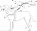 Fig. 01 - DOG LEASH