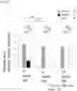 Fig. 06 - METHOD FOR OBTAINING RETINAL DEGENERATION (rd) MODEL MOUSE HAVING LOW RISK OF CAUSING RETINAL DETACHMENT
