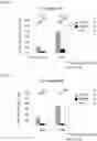 Fig. 09 - METHOD FOR OBTAINING RETINAL DEGENERATION (rd) MODEL MOUSE HAVING LOW RISK OF CAUSING RETINAL DETACHMENT