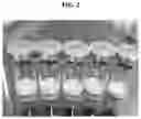 Fig. 07 - Method for lyophilizing exosome