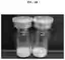 Fig. 11 - Method for lyophilizing exosome