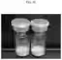 Fig. 12 - Method for lyophilizing exosome