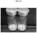 Fig. 13 - Method for lyophilizing exosome