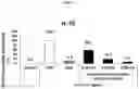 Fig. 19 - Method for lyophilizing exosome