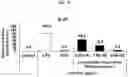 Fig. 21 - Method for lyophilizing exosome