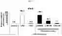 Fig. 22 - Method for lyophilizing exosome