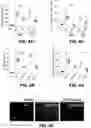 Fig. 08 - COMPOSITIONS FOR ORGAN GRAFT PRESERVATION AND METHODS OF USE