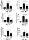 Fig. 15 - COMPOSITIONS FOR ORGAN GRAFT PRESERVATION AND METHODS OF USE