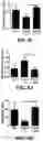 Fig. 18 - COMPOSITIONS FOR ORGAN GRAFT PRESERVATION AND METHODS OF USE
