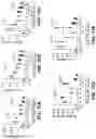 Fig. 24 - COMPOSITIONS FOR ORGAN GRAFT PRESERVATION AND METHODS OF USE
