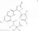 Fig. 24 - PYRAZOLAMIDE COMPOUND HAVING INSECTICIDAL ACTIVITY AND USE THEREOF