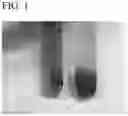 Fig. 02 - CHITOSAN-CONTAINING NON-FERMENTED TEA BEVERAGE OR SEMI-FERMENTED TEA BEVERAGE