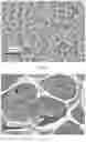 Fig. 02 - Cosmetic compositions with a micro-mesh structure