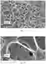 Fig. 06 - Cosmetic compositions with a micro-mesh structure