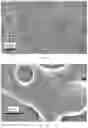 Fig. 08 - Cosmetic compositions with a micro-mesh structure