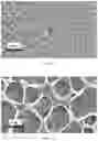 Fig. 22 - Cosmetic compositions with a micro-mesh structure