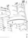Fig. 25 - ADJUSTABLE ANGLE TINES FOR RACK