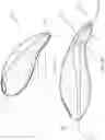 Fig. 15 - Medical borescopes and related tip assemblies