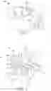 Fig. 02 - LINGUAL ORTHODONTIC APPLIANCE