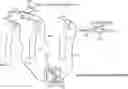 Fig. 01 - ENDODONTIC DEVICES