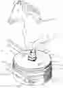 Fig. 01 - Equine imaging safety restraint and positioning