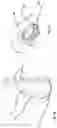 Fig. 10 - Surgical attachment device