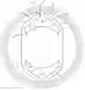 Fig. 01 - Intraocular lens