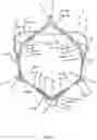 Fig. 16 - Stent for the positioning and anchoring of a valvular prosthesis in an implantation site in the heart of a patient
